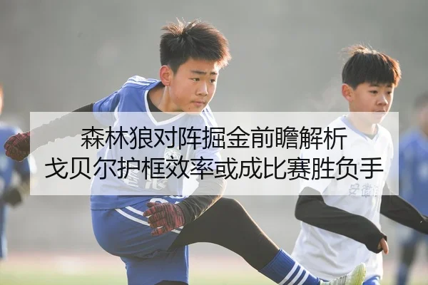 森林狼对阵掘金前瞻解析 戈贝尔护框效率或成比赛胜负手